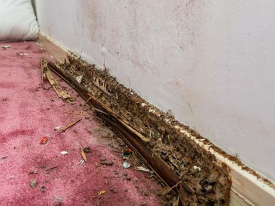 About Pre Water Damage Restoration - water damage restoration experts in American Fork, UT